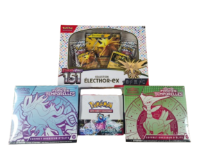 Lot pokémon EV5